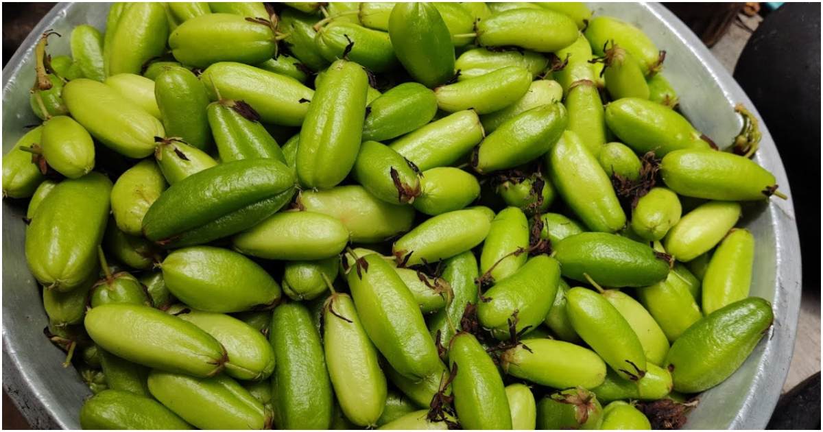 Irumban Puli Benefits Malayalam