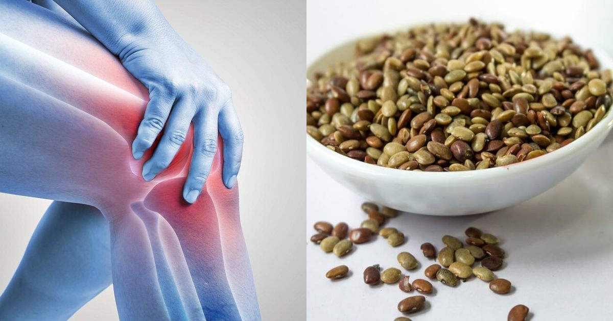 Horse Gram For Joint Pain Malayalam