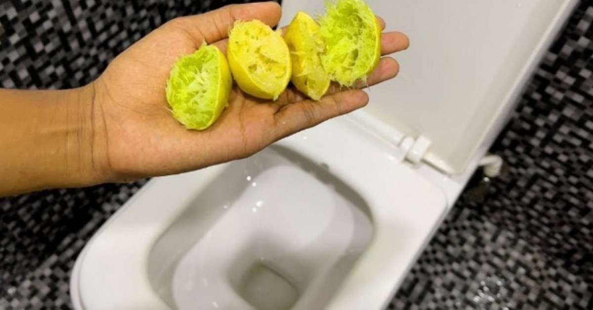 Lemon Peel Benefits Malayalam