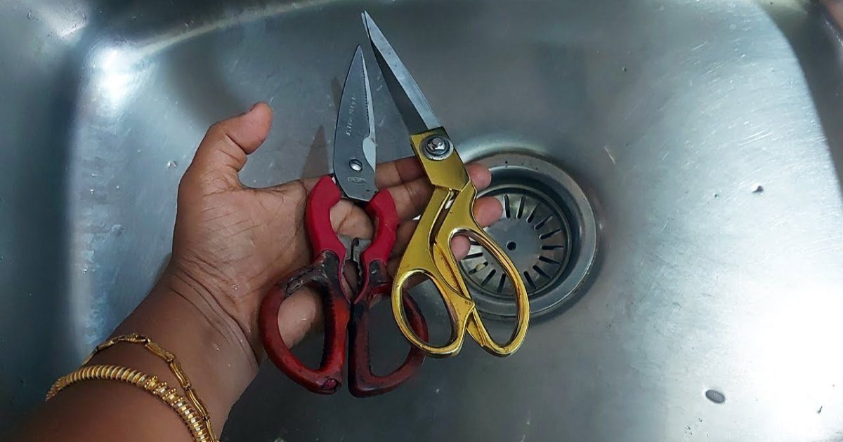 Kitchen Sink Cleaning Tip Malayalam