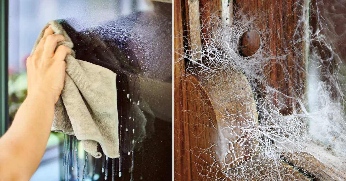 Spider Web Cleaning Easy Tip