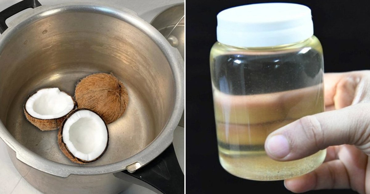 Homemade Coconut Oil Making Using Pressure Cooker
