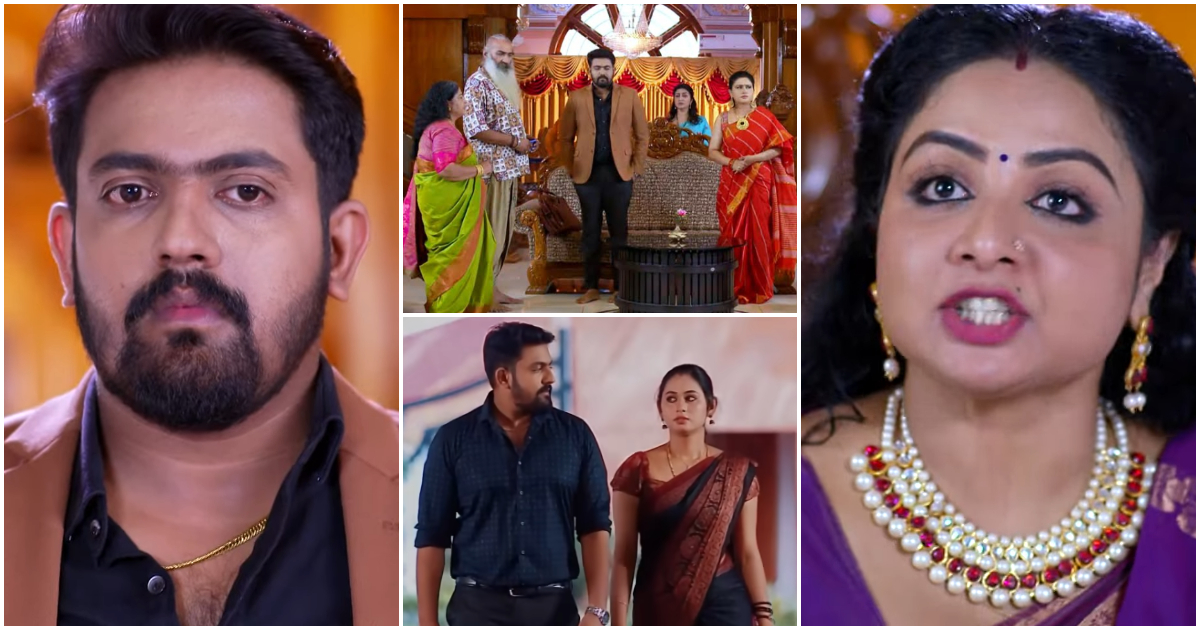 Patharamattu Today Episode 30 July 2024